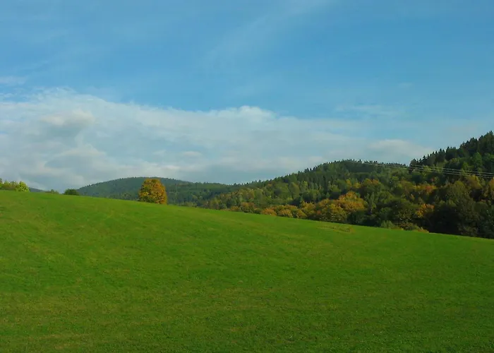 Gasthof Svet